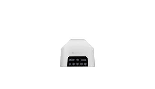 Bluesound Bluesound Pulse Flex 2i Portable Wireless Multi-Room Smart Speaker with Bluetooth - White - Compatible with Alexa and Siri