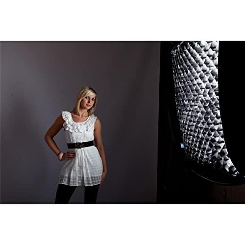 Lastolite Manfrotto Medium Fabric Grid for Ezybox II Octa Softbox