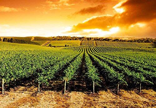 wall26 wall26 Self-Adhesive Wallpaper Large Wall Mural Series (66\"x96\", Artwork - 26)