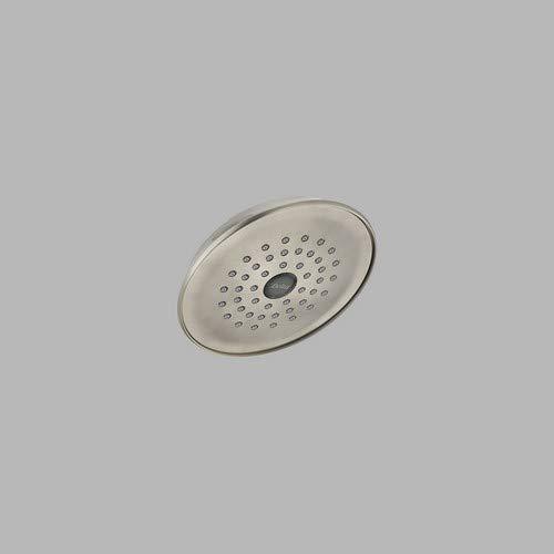 DELTA FAUCET DELTA FAUCET Rubber Limited RP42578SS Single-Setting Showerhead, Stainless
