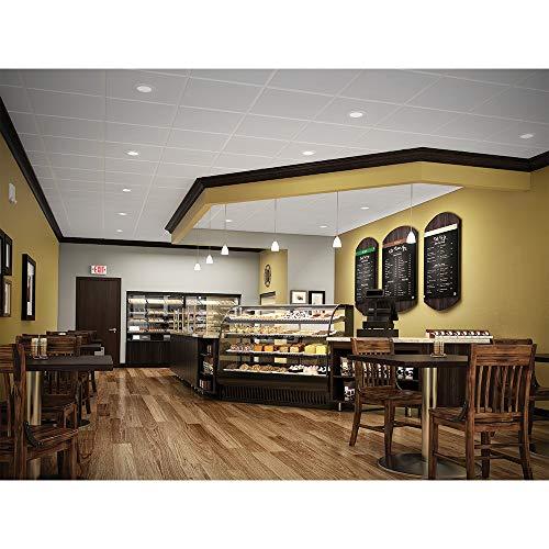 HALO HALO H995RICAT LED Recessed Lighting Housing for Remodel Ceiling, T24, Insulation Contact, Air-Tite, Aluminum, 4 in., Silver