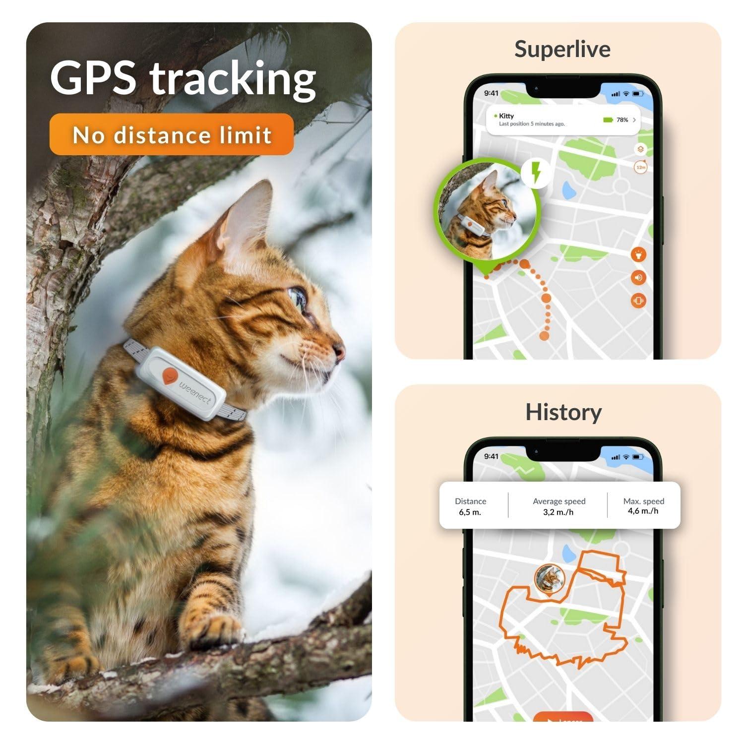 Weenect Weenect Cat XS - New GPS Tracker for Cats | Real-time Mini GPS Tracker for Cats | Smallest Model on The Market | Collar Included | Including Free 3 Months Subscription