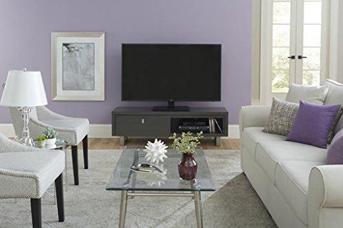 Sanus Sanus VSTV1 Large TV Swivel Base - Universal Replacement Stand for 32"- 60" Flat TV Screens Including Samsung, Sony, Vizio, TCL & More