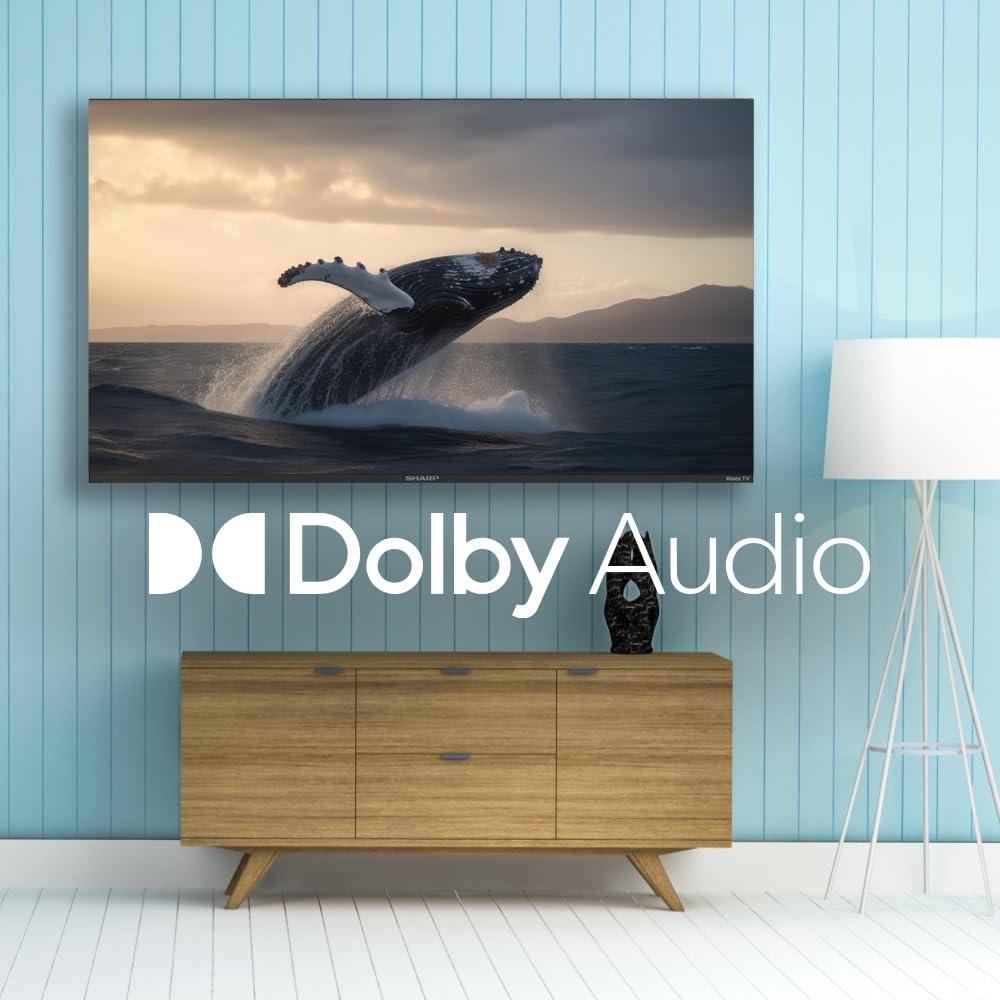 Sharp SHARP Roku TV 50" Class (49.51" Diag.) 4K Ultra HD with HDR10