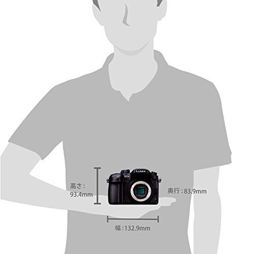 Panasonic Panasonic Mirror-Less SLR LUMIX GH4 Body Black DMC-GH4-K International Version (No Warranty)