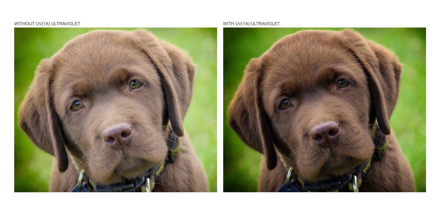 Syba Syba USB Powered 3.5mm Audio Laptop Speaker CL-SPK20138 Clip-On Soundbar - Portable Compact Travel Stereo Speaker Bar Design Uses USB for Power 3.5mm Jack for Audio Black.