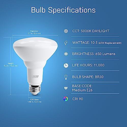 Feit Electric Feit Electric LED BR30 Light Bulbs 65W Equivalent, Dimmable, 10 Year Life, 650 Lumens, 5000k Daylight, Recessed Can Light Bulbs, Flood Light Bulbs, Damp Rated, BR30DM/850/10KLED/2, 2 Pack