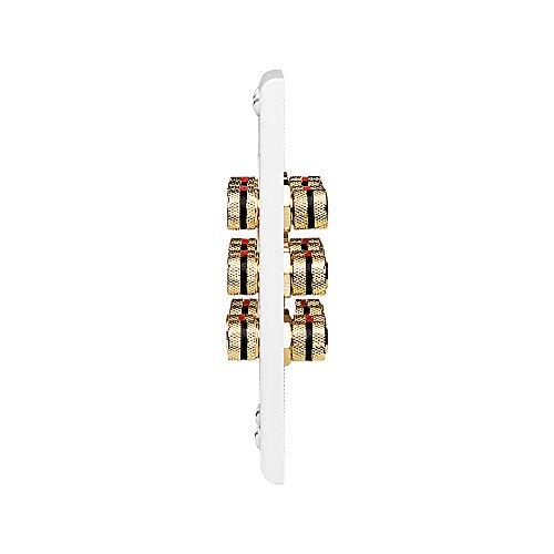 OSD Audio OSD WP12 Banana Binding Post Gold Plated Terminal Decora Style for 6-Speakers (White)