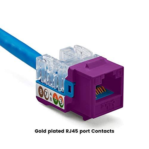 TRUE CABLE trueCABLE Cat6 Keystone Jack, Unshielded (UTP), 90 Degree Punch-Down, PoE++ (4PPoE) 100W, UL Listed, ETL Verified, ANSI/TIA Certified, Modular RJ45 Female, Purple, 12 Pack