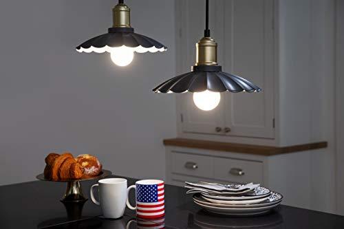 LEDVANCE SYLVANIA G25 Globe Décor LED Light Bulb, 60W Equivalent Efficient 5W, 10 Year, Non-Dimmable, 500 Lumens, 2700K, Soft White, Frosted - 2 Pack (40215)