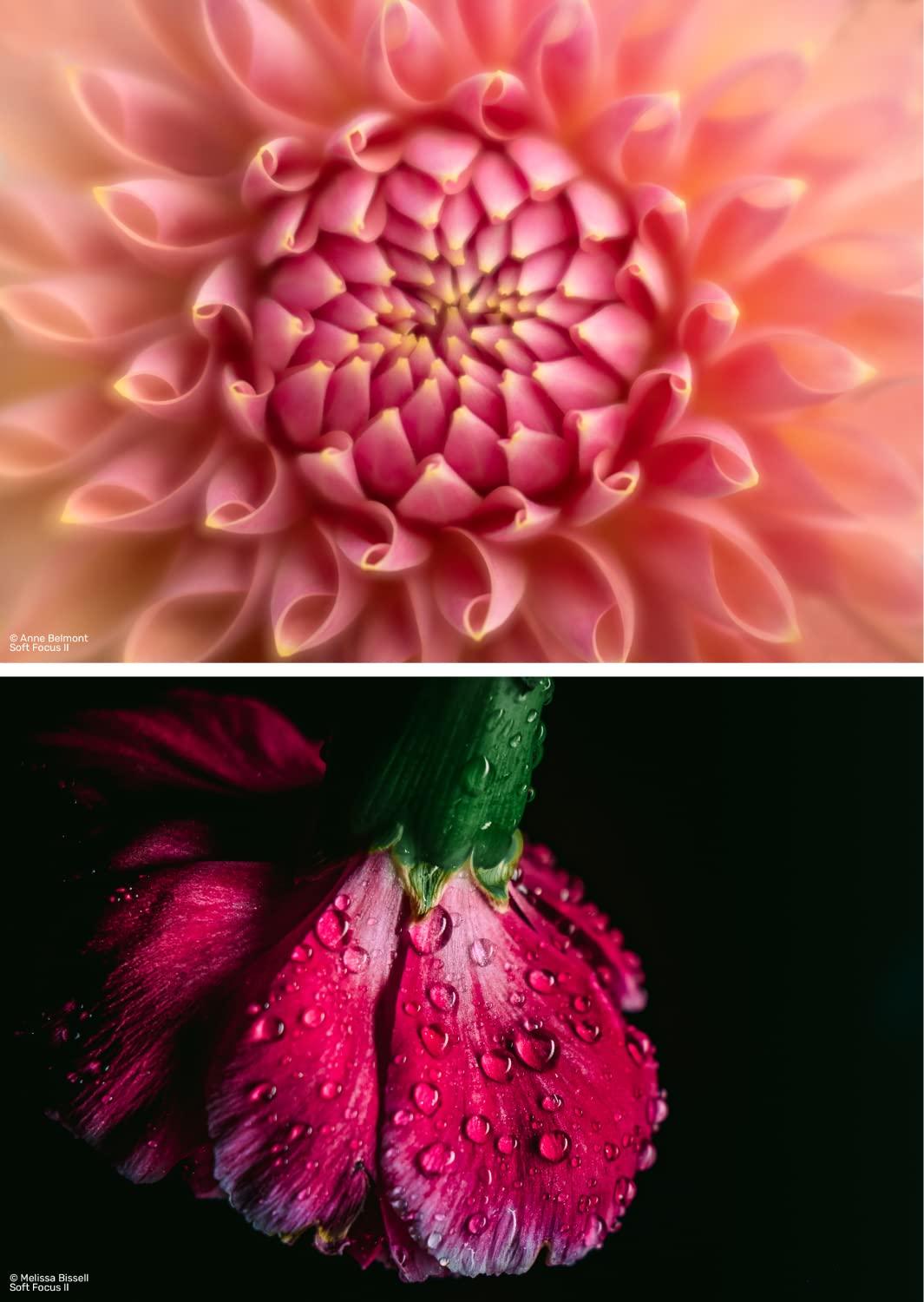 Lensbaby LensBaby - Fixed Body with Soft Focus II 50 Optics - for Sony E - Compatible with All Current and Older Lensbaby Optic Swap Lenses - Manually Adjustable Aperture