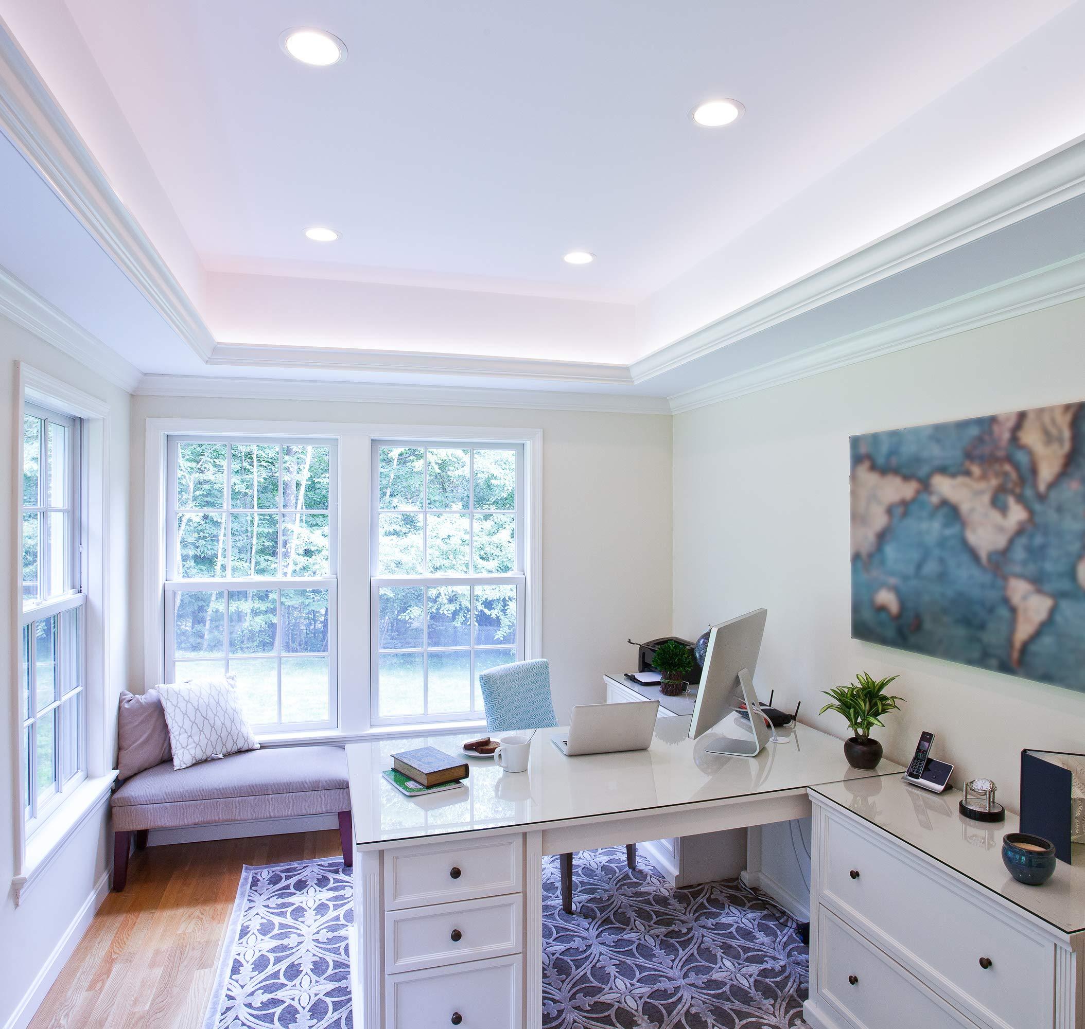 LEDVANCE SYLVANIA BR40 LED Flood Light Bulb, 85W = 13W, 10 Year, Dimmable, Frosted Finish, 1050 Lumens, 5000K, Daylight - 2 Pack (79624)