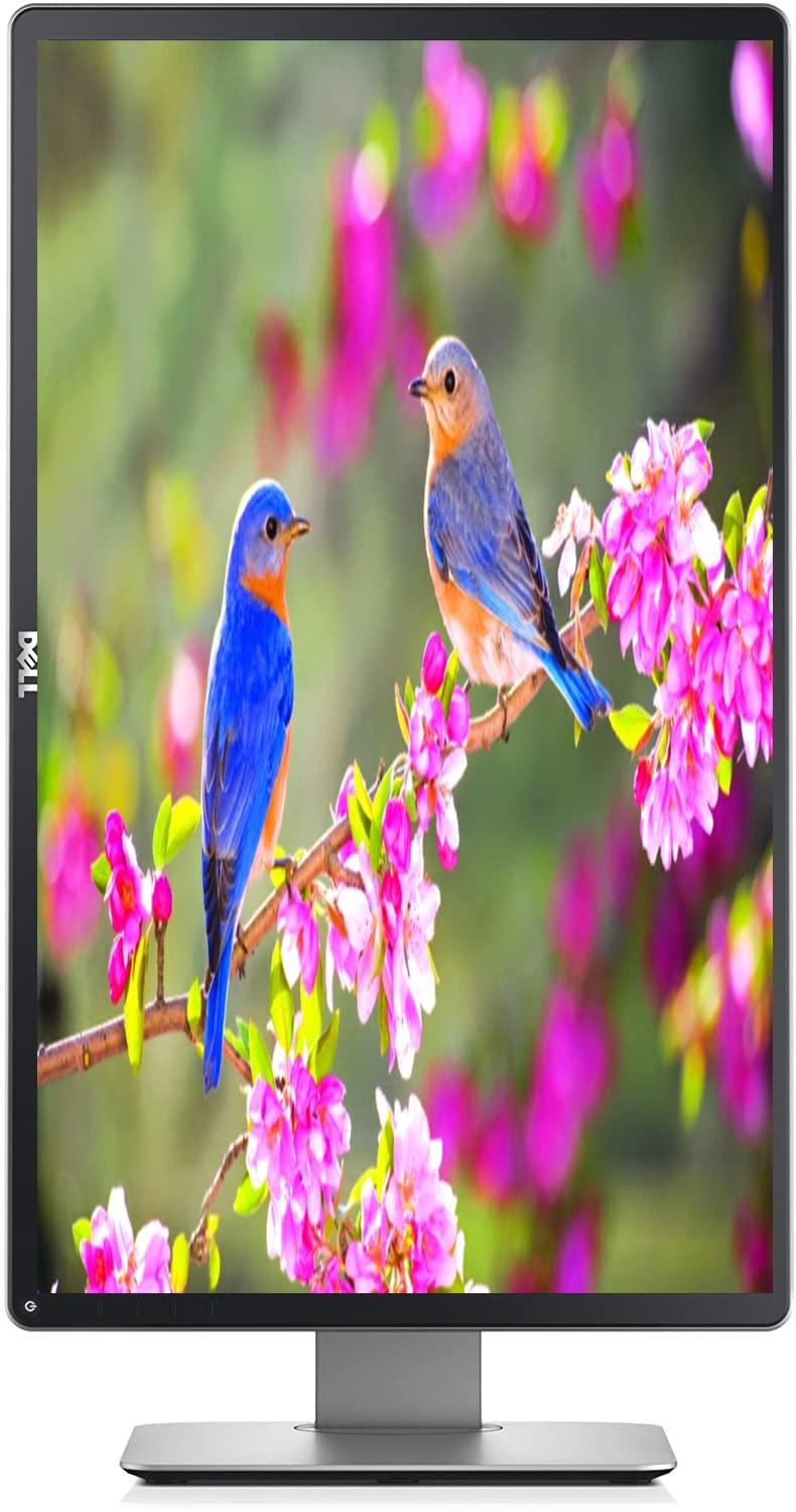 Dell Dell P2314HT Monitor Full FHD 1920 x 1080, Display Port, VGA, DVI, 16.7 Million Colors, 8 ms Response time, 178 Degree Viewing Angle, 30-83 kHz Refrest Rate (Renewed)