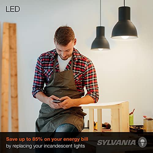 LEDVANCE SYLVANIA LED Light Bulb, 75W Equivalent A19, Efficient 12W, Medium Base, Frosted Finish, 1100 Lumens, Daylight - 1 Pack (79293)