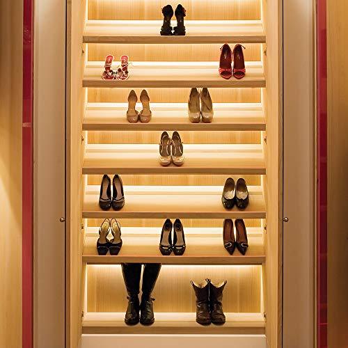 Armacost Lighting Armacost Lighting 151250 RibbonFlex Pro Series 30 LED Lights, 32.8 ft