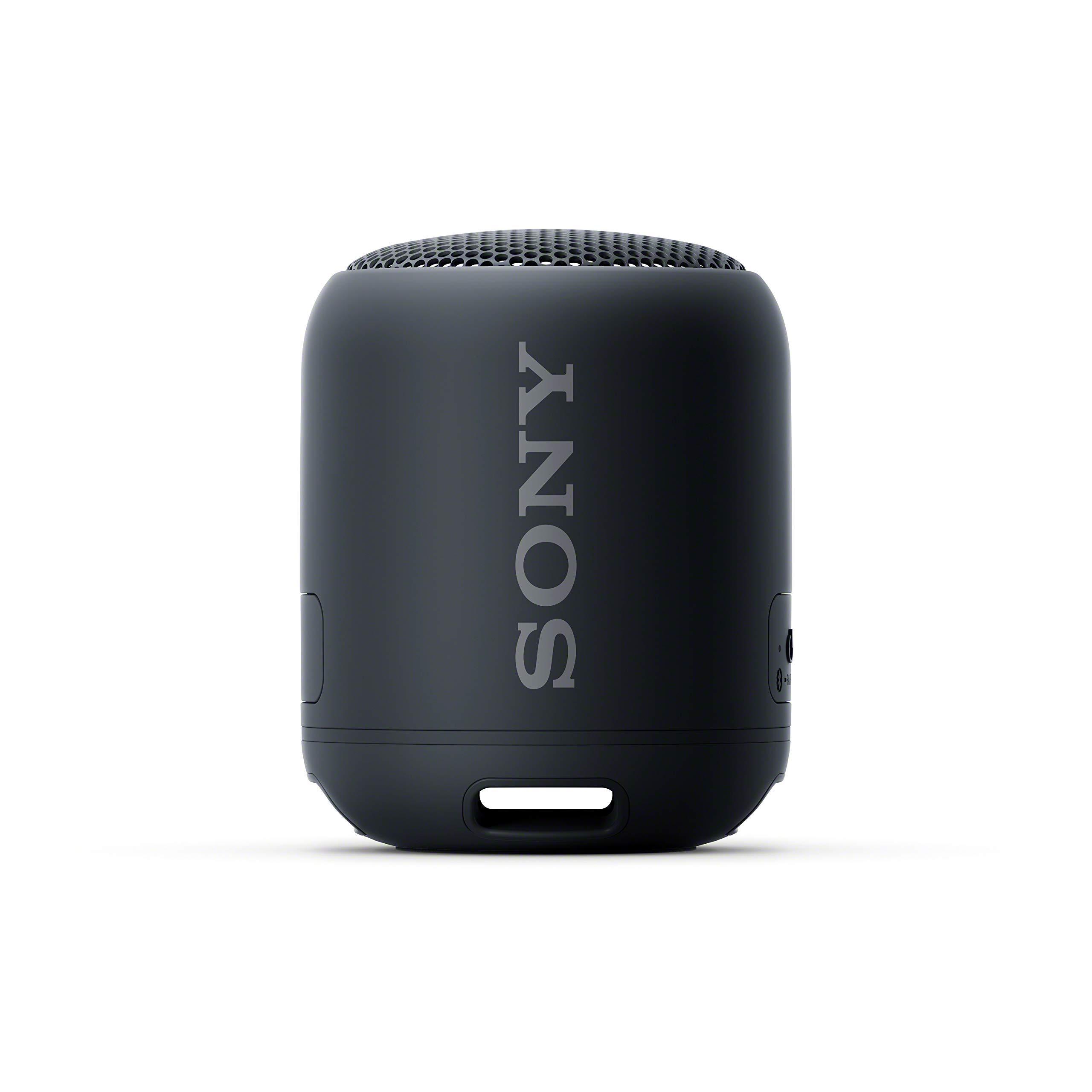 Sony Sony Portable Bluetooth Speaker - Black (Renewed)