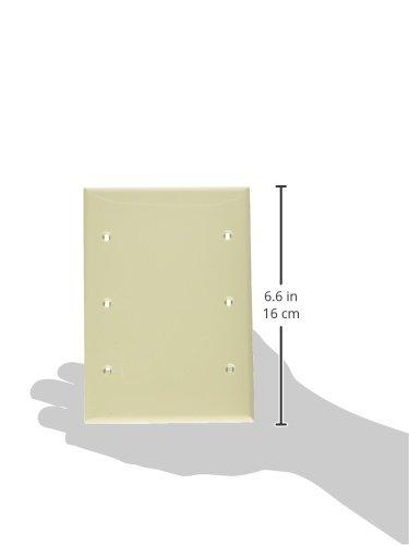 Leviton Leviton 80735-I IV WP 3G BLANK STD SIZE BOX MNT NYLON