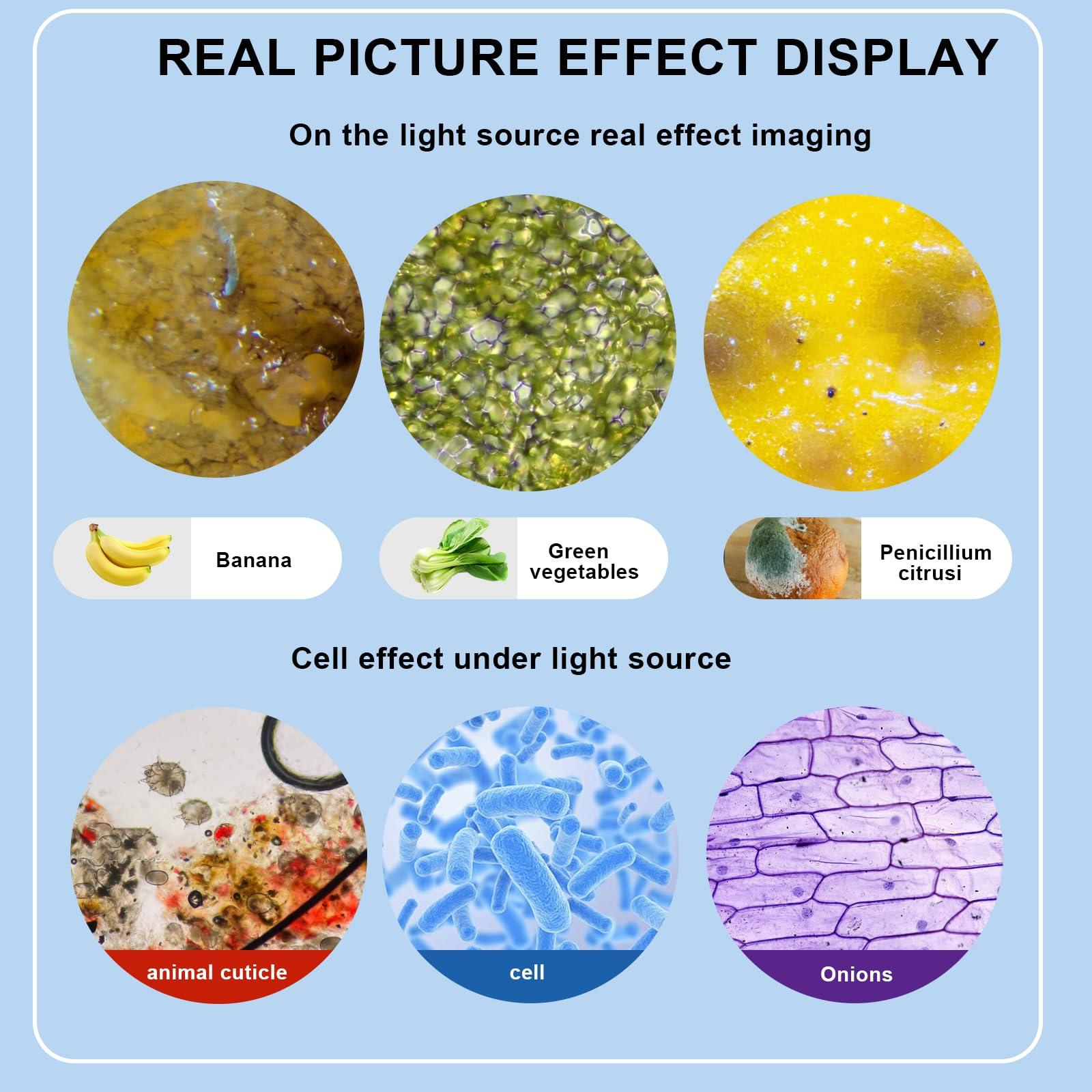 Woehrsh Trinocular Microscope 40X-5000X Magnification, Microscope for Adults, Laboratory Grade with Dual Mechanical Stage and HD USB Camera Microscope (Adult Trinocular Microscope with Electronic Eyepiece)