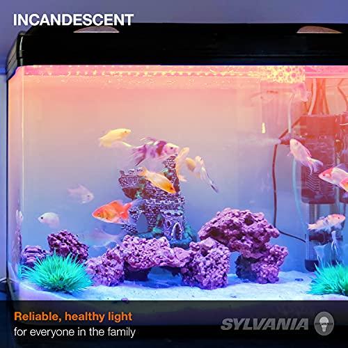 LEDVANCE SYLVANIA T10 Incandescent 25-Watt Tubular Incandescent Bulb, Medium Base, 230 Lumens, 100 CRI, 2580K, Clear (18491)