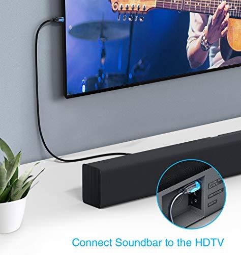 BlueRigger BlueRigger Digital Optical Audio Toslink Cable (3FT, Fiber Optic Cord, 24K Gold-Plated) - Compatible with Home Theatre, Sound Bar, TV, Xbox, Playstation PS5/PS4