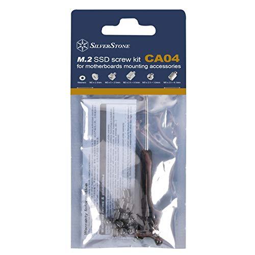 SilverStone Technology SilverStone Technology CA04 M.2 SSD Screw Kit for Motherboard Accessory Mounting (SST-CA04)