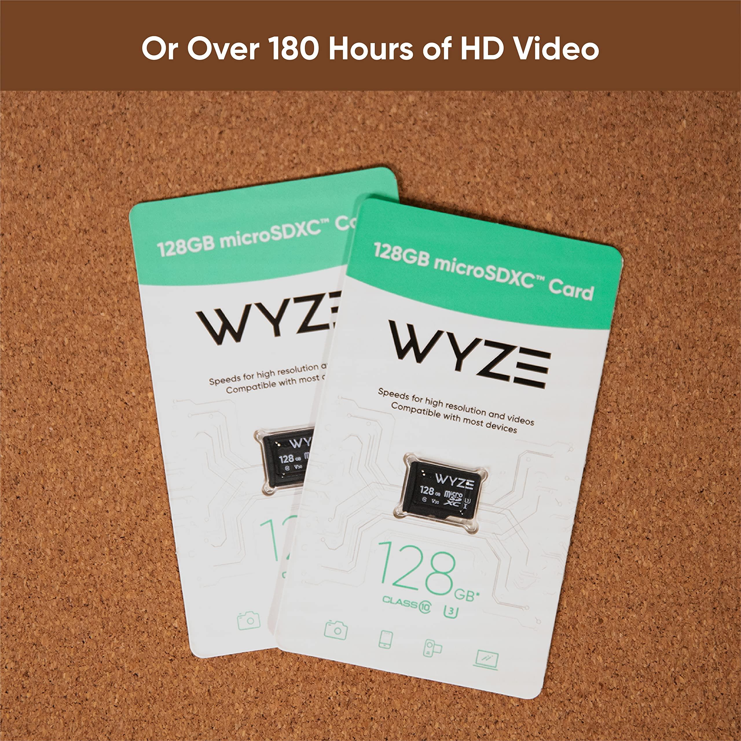 WYZE Wyze Expandable Storage 128GB MicroSDXC Card Class 10, Black