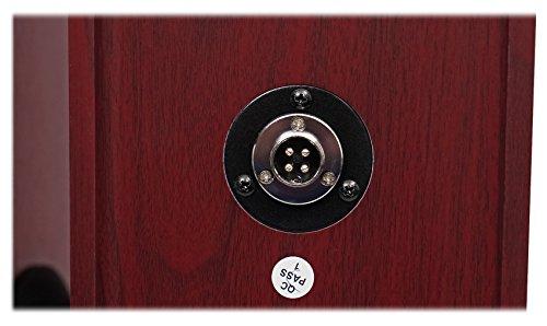 Rockville Rockville TM80C Cherry Powered Home Theater Tower Speakers 8" Sub/Bluetooth/USB