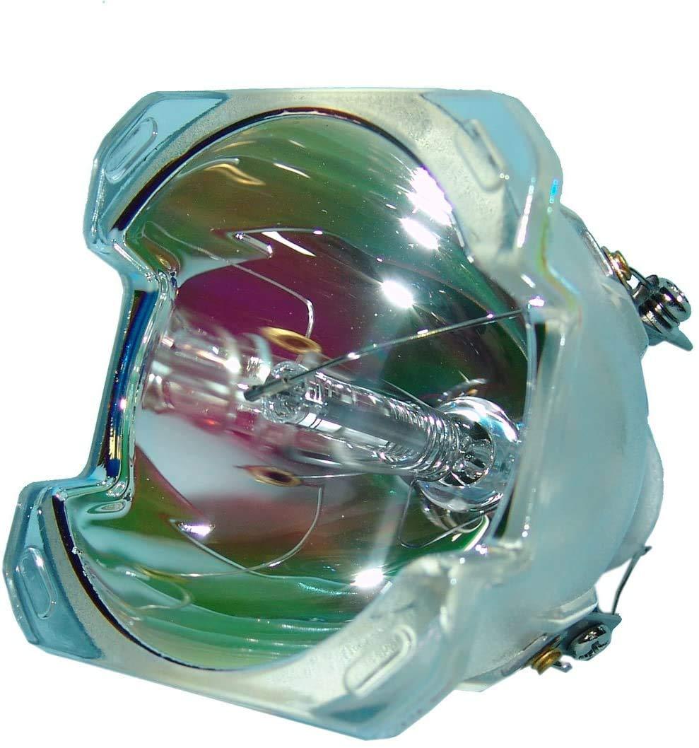 DirectNine Basics SPLAMP006 Replacement Projector Bare Lamp Bulb Without Housing for INFOCUS SP-LAMP-006 DP6500X LP650 LS5700 LS7205 LS7210 SP5700 SP7200 SP7205