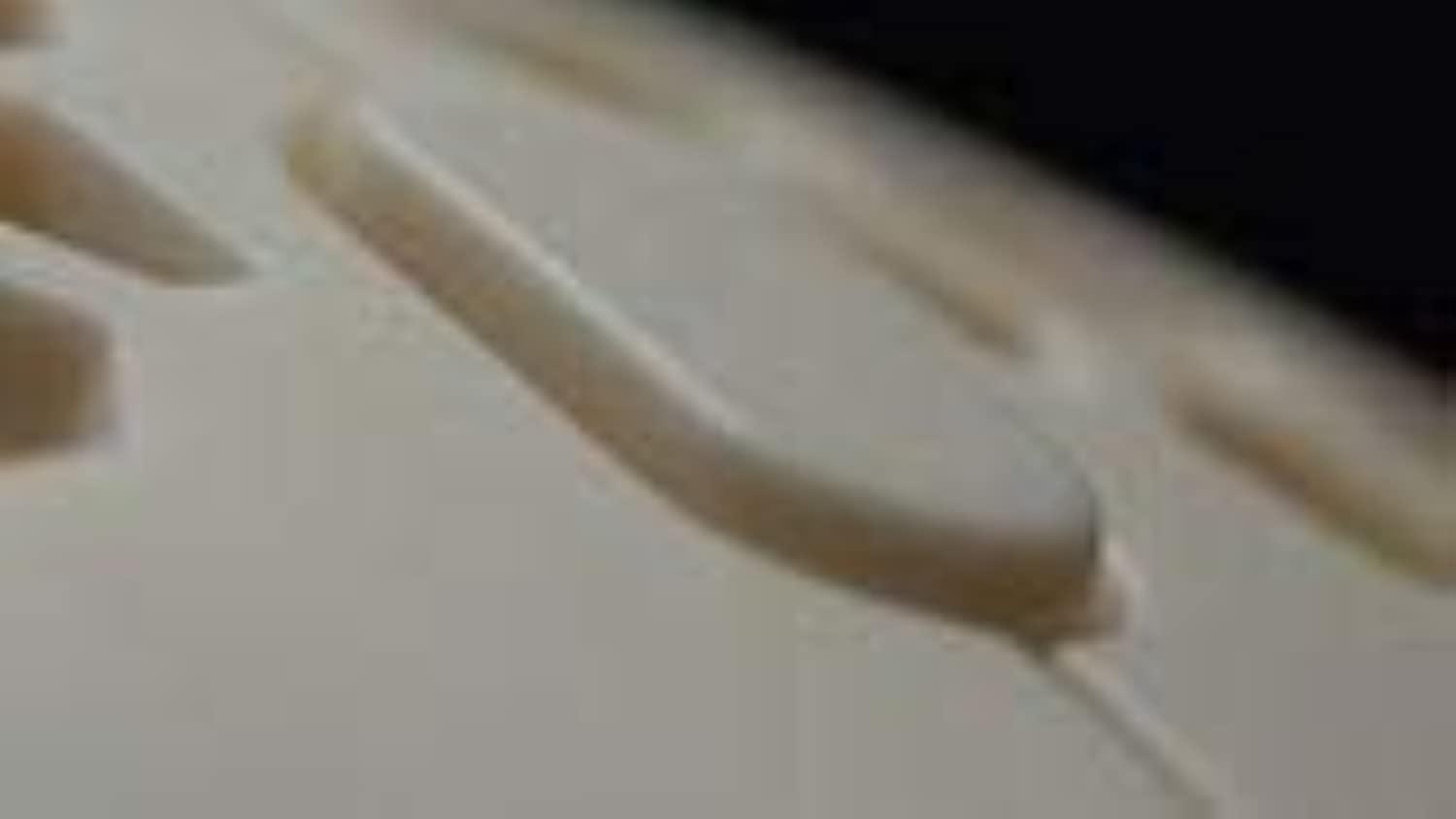 FinalMouse Ultralight 2 - Cape Town