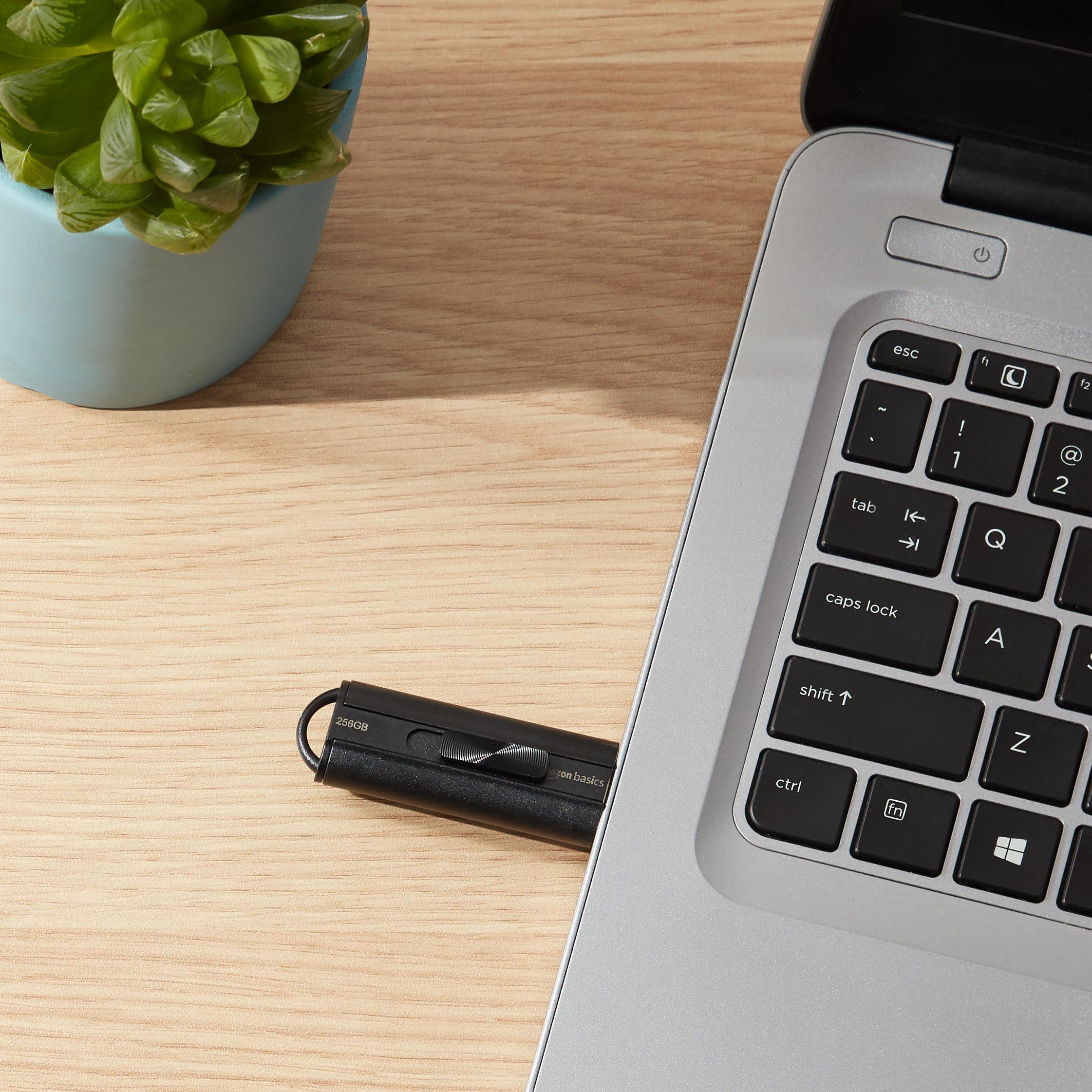 Amazon Basics Amazon Basics 256 GB Ultra Fast USB 3.1 High Capacity Flash Drive for Data Transfer and Storage, Black