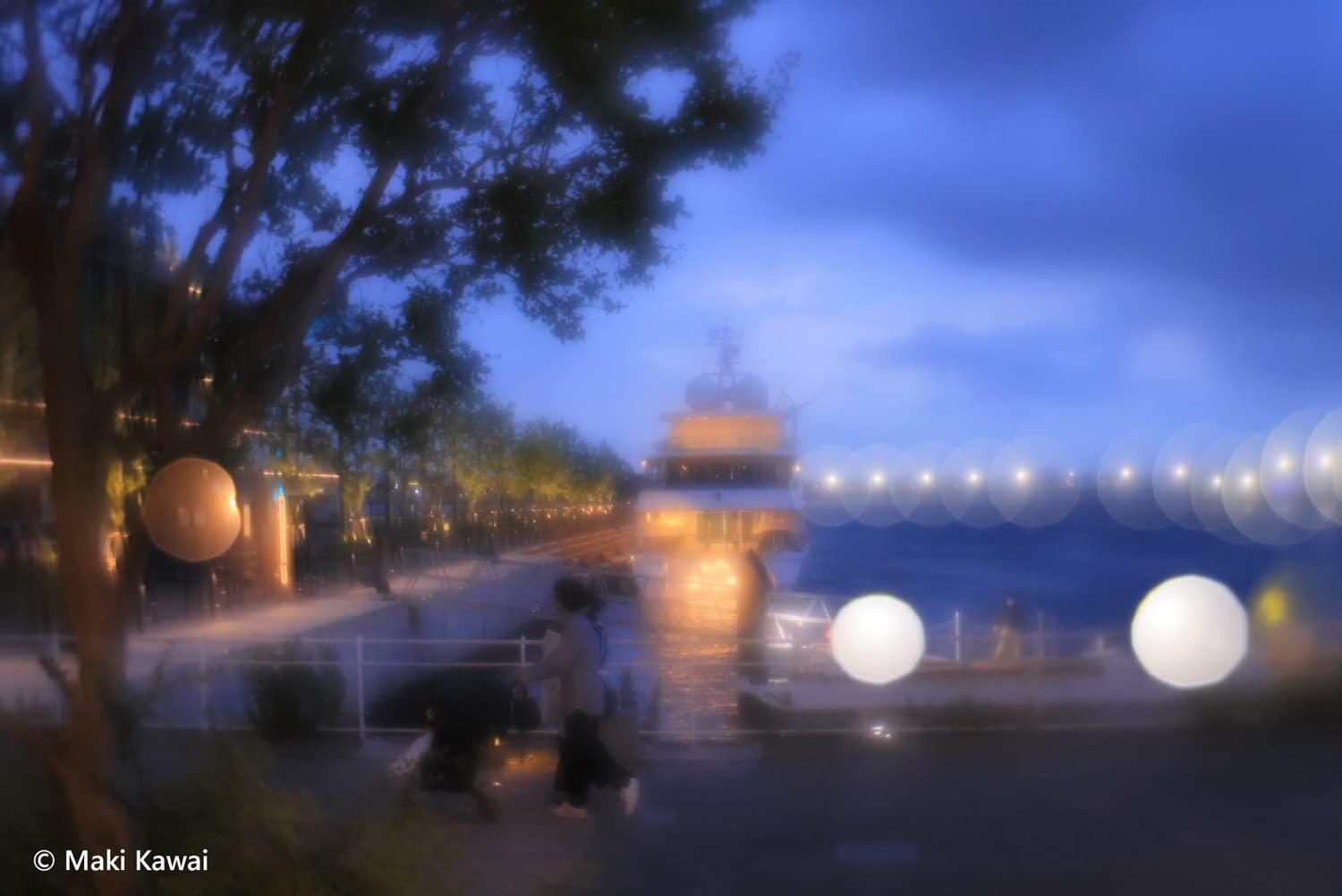 Lensbaby Composer Pro II w/Soft Focus II Compatible with RF Mount