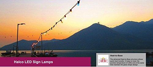 Halco Halco BC3728 80519 - S14GRN1C/LED Sign Scoreboard Light Bulb