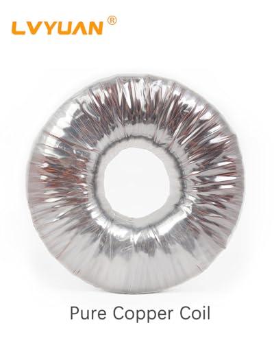 LVYUAN LVYUAN 3000 Watt Voltage Converter Transformer Heavy Duty Step Up/Down AC 110V/120V/220V/240V Power Converter with 3 US Outlets, 3 Universal Outlets, Resettable Circuit Breaker Protection