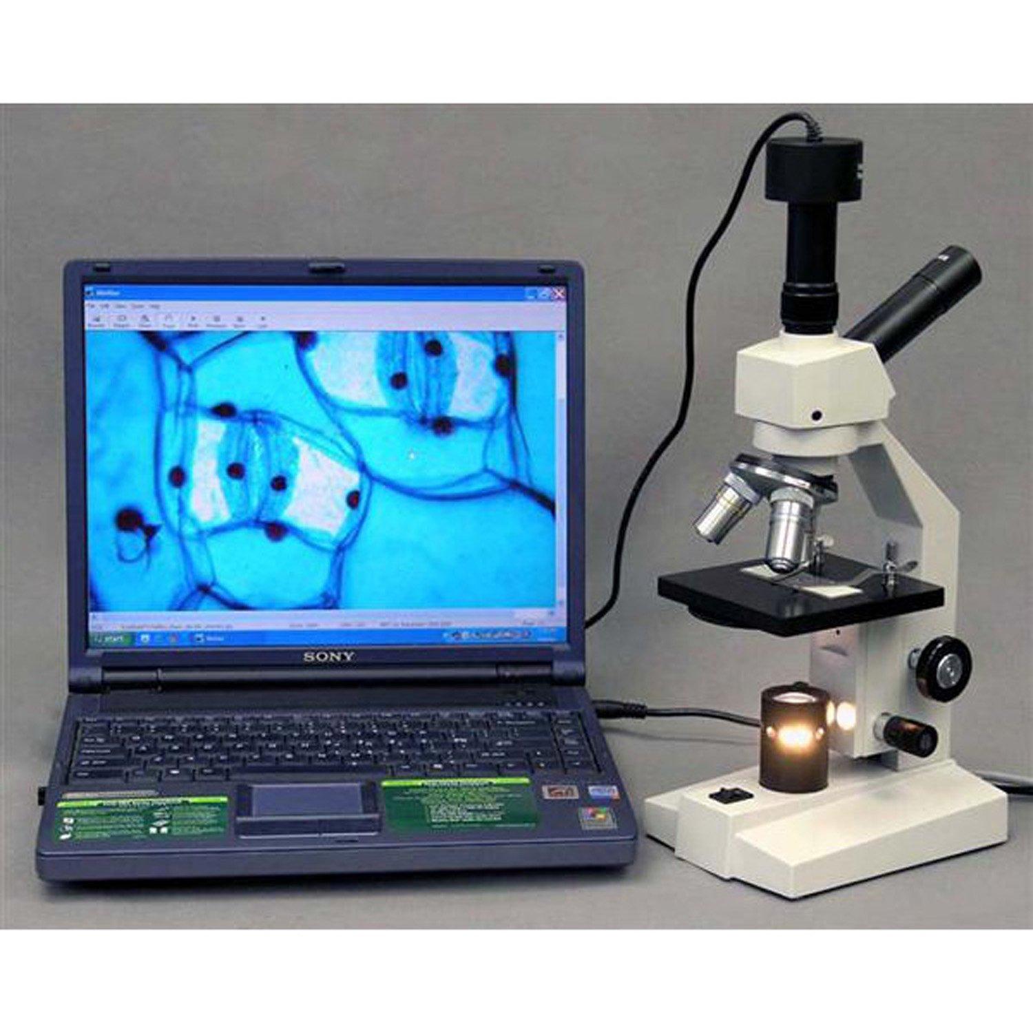 AmScope AmScope D120B Dual-View Compound Monocular Microscope, WF10x and WF20x Objectives, 40X-2000X Magnification, Brightfield, 1.25 NA Abbe Condenser, Plain Stage