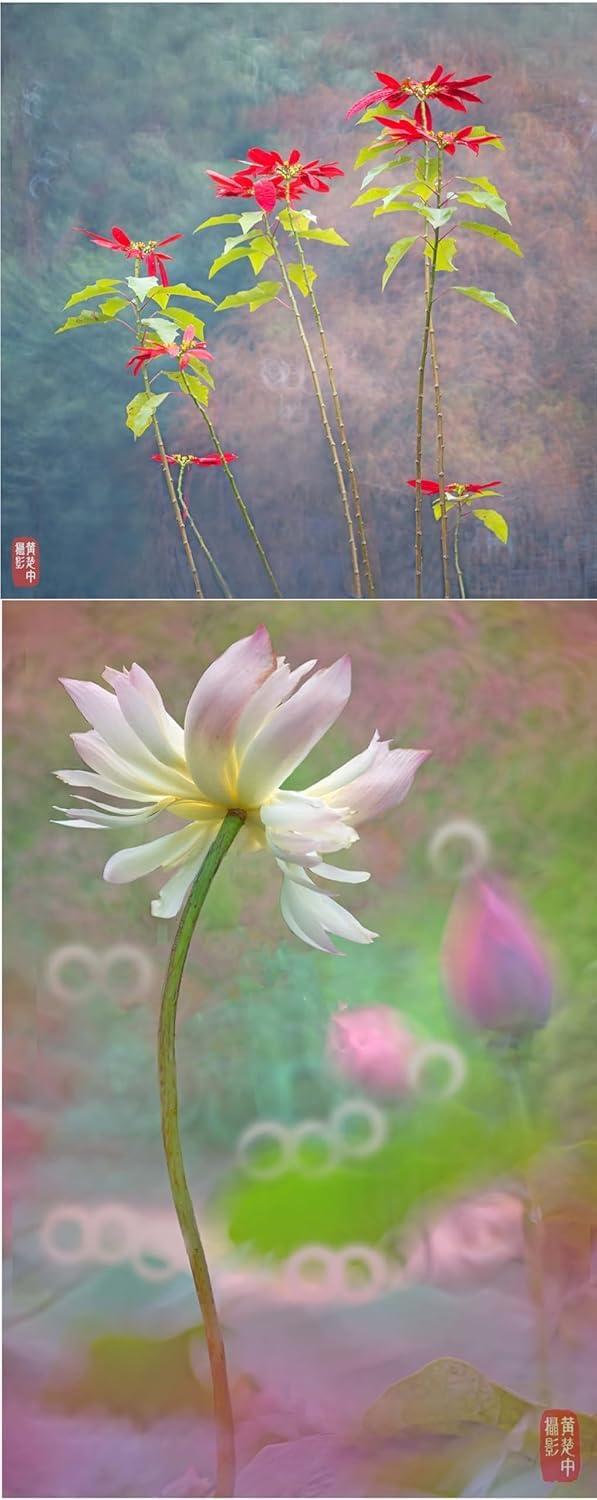 Kase Kase 200mm F5.6 MC Reflex Mirror Aluminum Portrait Lens Compatible with Hasselblad XCD