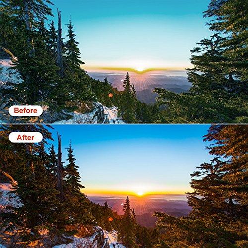 Anwenk Anwenk Grey Card White Balance Card 18% Exposure Photography Card 5X4 Custom Calibration Camera Checker Video, DSLR and Film