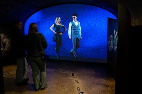 SmarterSurfaces Smart Ultra High Contrast Projector Screen Paint - 270 sq ft