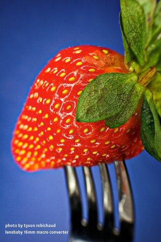 Lensbaby Lensbaby Macro Converters - 8mm Converter and 16mm Converter (LBMC)