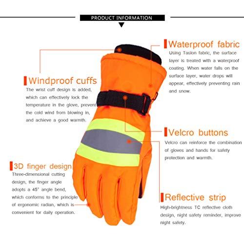 BestRefitCar 2021 SYNC 3 Upgrade Kit, Fits for 2014 Ford C-Max, SYNC 2 to SYNC 3.4 MyFord Touch (MFT) Support Carplay,Including 8 Inch Screen, GPS Navigation Antenna,APIM Module,USB Hub,NA 220 MAP