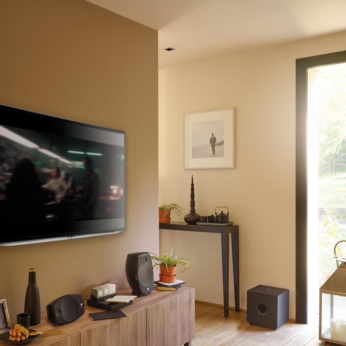 Focal Focal Cub Evo Active Bass-Reflex Subwoofer (Black)