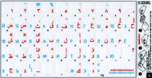 AmScope AmScope M150C-MS Compound Monocular Microscope, WF10x and WF25x Eyepieces, 40x-1000x Magnification, LED Illumination, Brightfield, Single-Lens Condenser, Coaxial Coarse and Fine Focus, Mechanical Stag