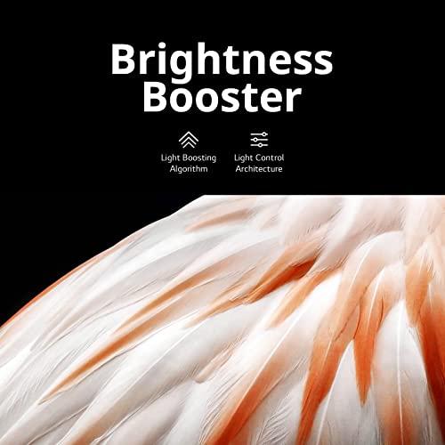 LG LG 55\" Class C3 Series OLED 4K UHD Smart webOS TV OLED55C3PUA