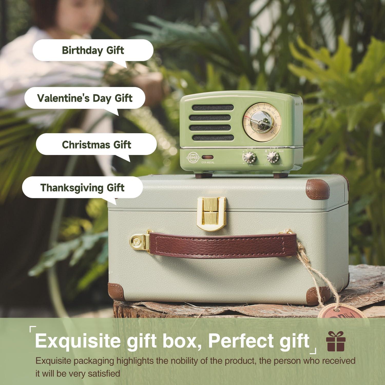 Muzen Muzen Portable Bluetooth Speaker, OTR Metal Vintage Small Wireless Speaker, FM Retro Radio with Antenna AUX, High Fidelity Stereo Audio with Suitcase, for Gift Home Outdoor