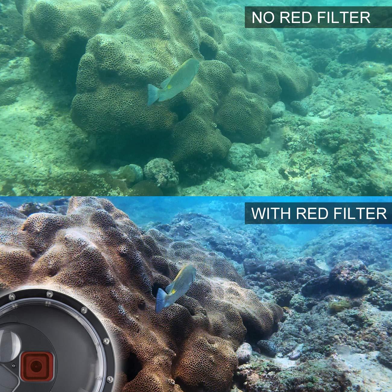 SOONSUN SOONSUN Dome Port for GoPro Hero 9 10 11 12 13 Black, Underwater Dome Lens with Waterproof Housing Case Built-in Switchable Red Filter, 10x Close-up Macro Filter and Standard Mode