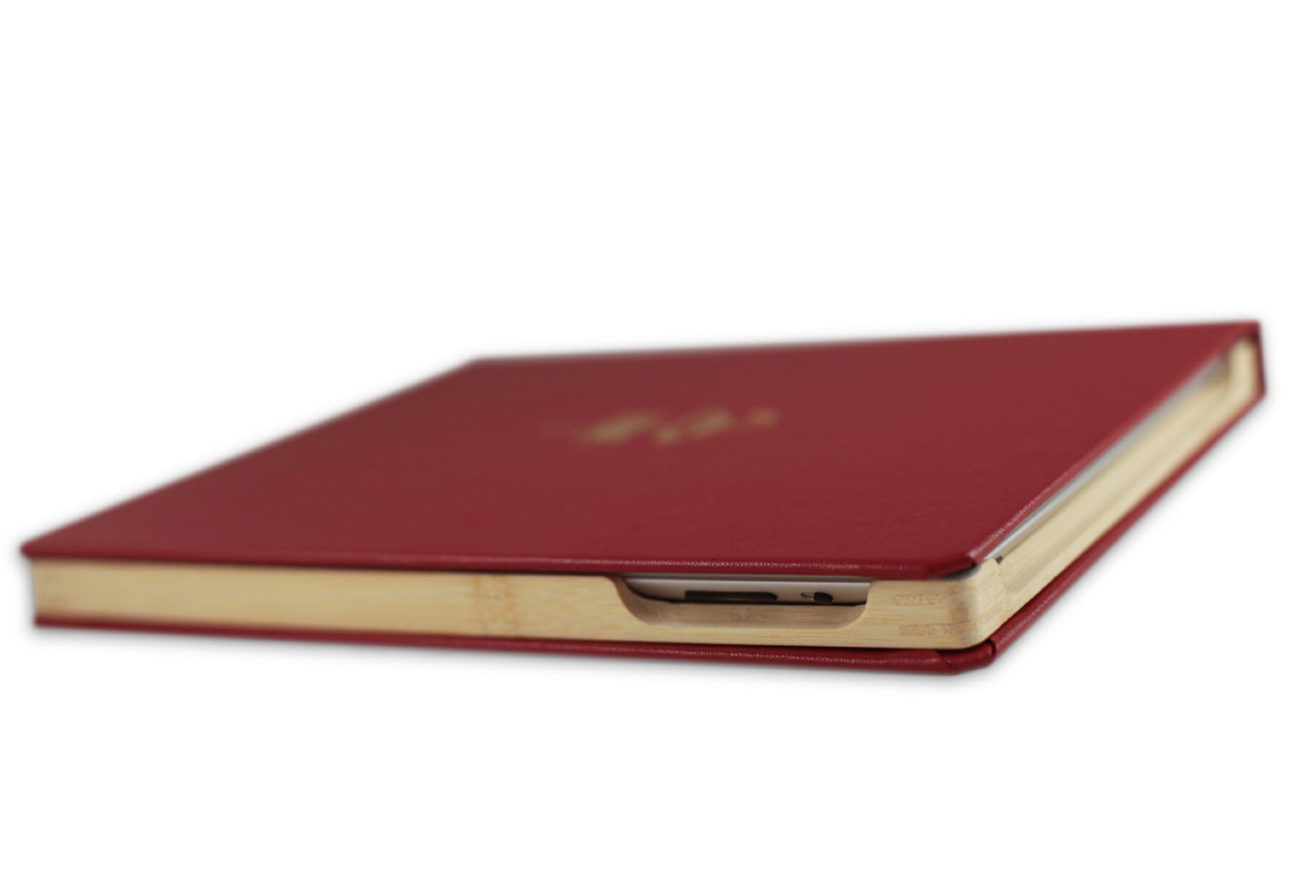 DODOcase DODOcase for iPad 2 (Morris Lessmore)