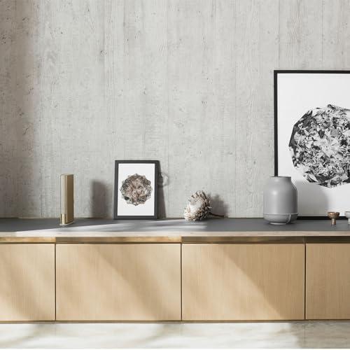 Bang & Olufsen Bang & Olufsen Beosound Emerge Bookshelf Wi-Fi Speaker, Gold Tone/Light Oak