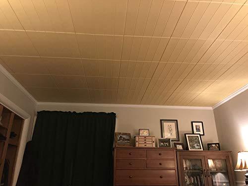 A La Maison Ceilings A La Maison Ceilings R104 Bead Board Foam Glue-up Ceiling Tile (21.6 sq. ft./Case), Pack of 8, Plain White