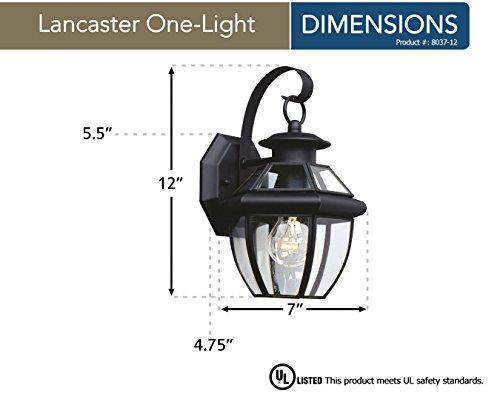 Sea Gull Lighting Sea Gull Lighting 8037-12 Lancaster Outdoor Wall Lantern Outside Fixture, One - Light, Black