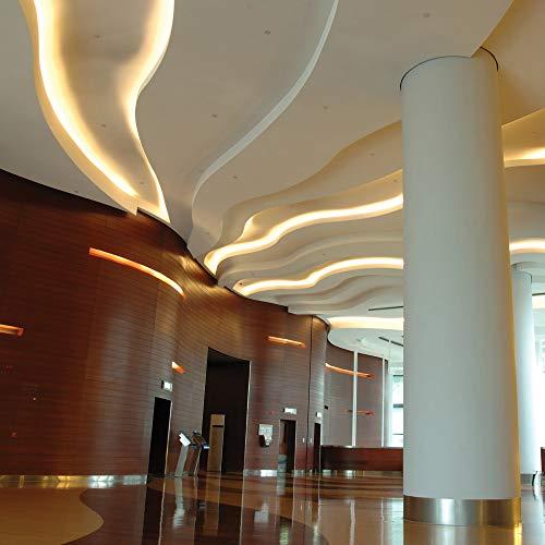 Armacost Lighting Armacost Lighting 151250 RibbonFlex Pro Series 30 LED Lights, 32.8 ft