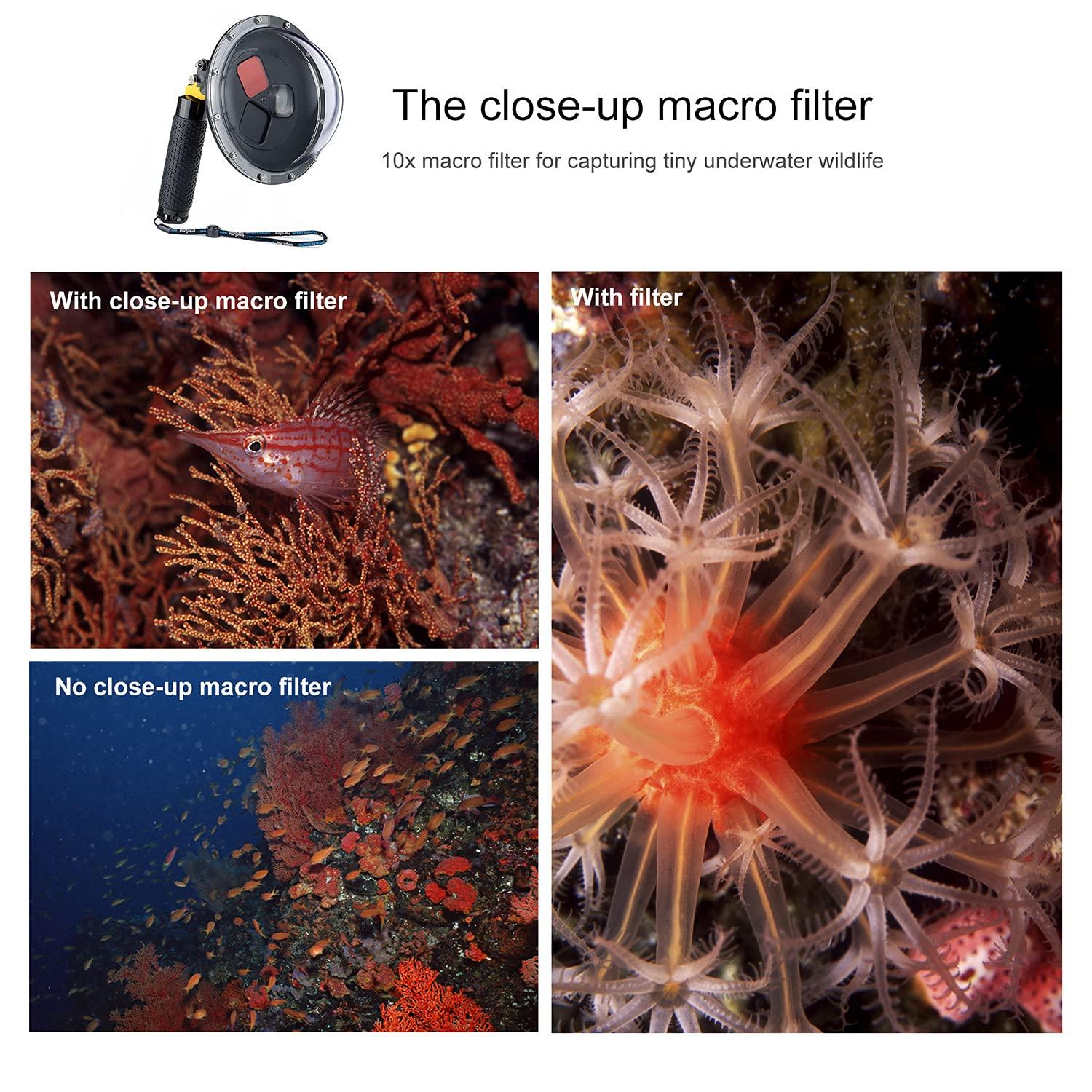 YALLSAME YALLSAME Waterproof Dome Port for GoPro Hero 13 12 11 10 9 Black with Built-in Switchable Filters, Floating Hand Grip, Trigger, Dive Snorkeling Underwater Dome Housing for GoPro 9 10 11 12 13 Black